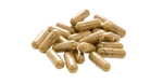 Oregano herbal capsules