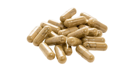 Oregano herbal capsules