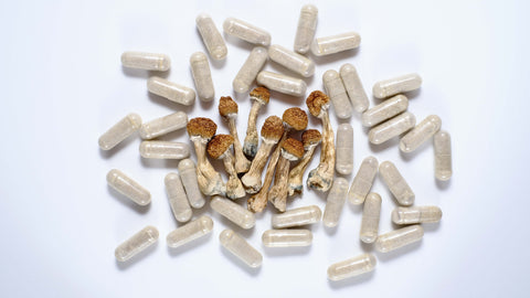 7 mushroom blend capsules